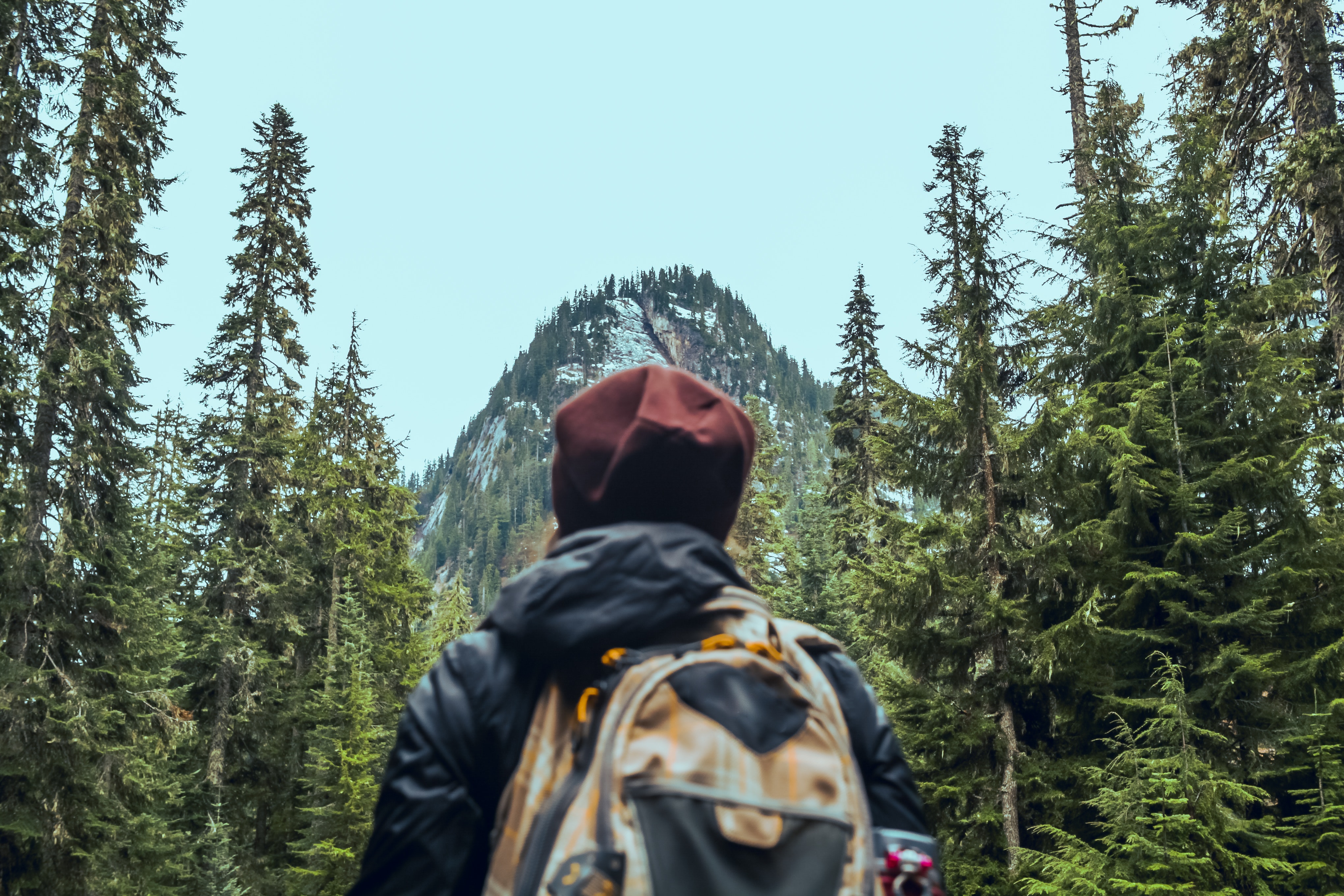 person looking at a snow-capped mountain in front of them with pine trees lining the sides